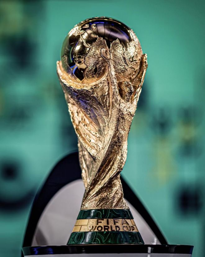 他需要适应 他需要适应