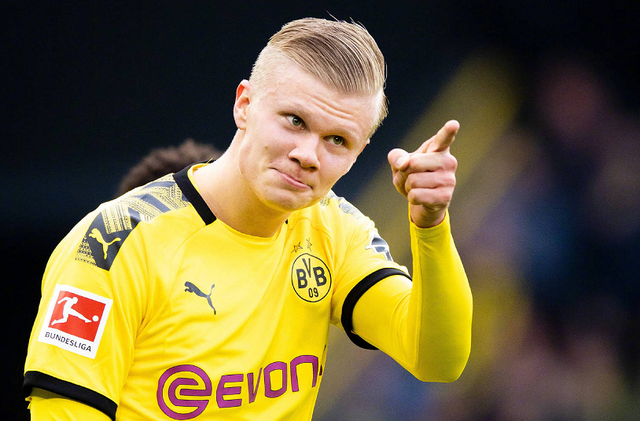 年休赛期宣 年休赛期宣