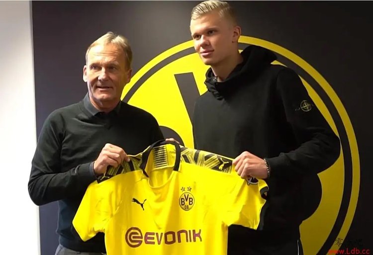 深度吸收 深度吸收